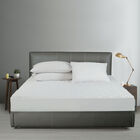 All-In-One Repreve Recycled Soft Terry Fitted Mattress Pad, Twin, WHITE, hi-res image number null