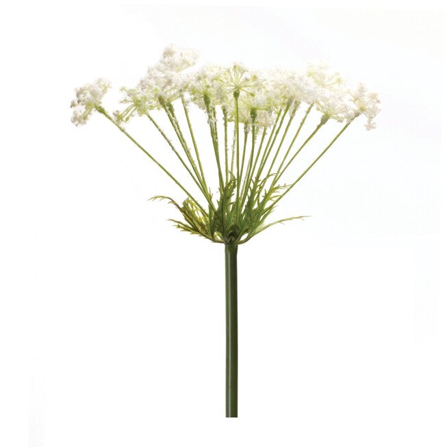 Queen Anne's Lace Stem (Set of 2) 29 inchesH Plastic, GREEN/WHITE, hi-res image number 0