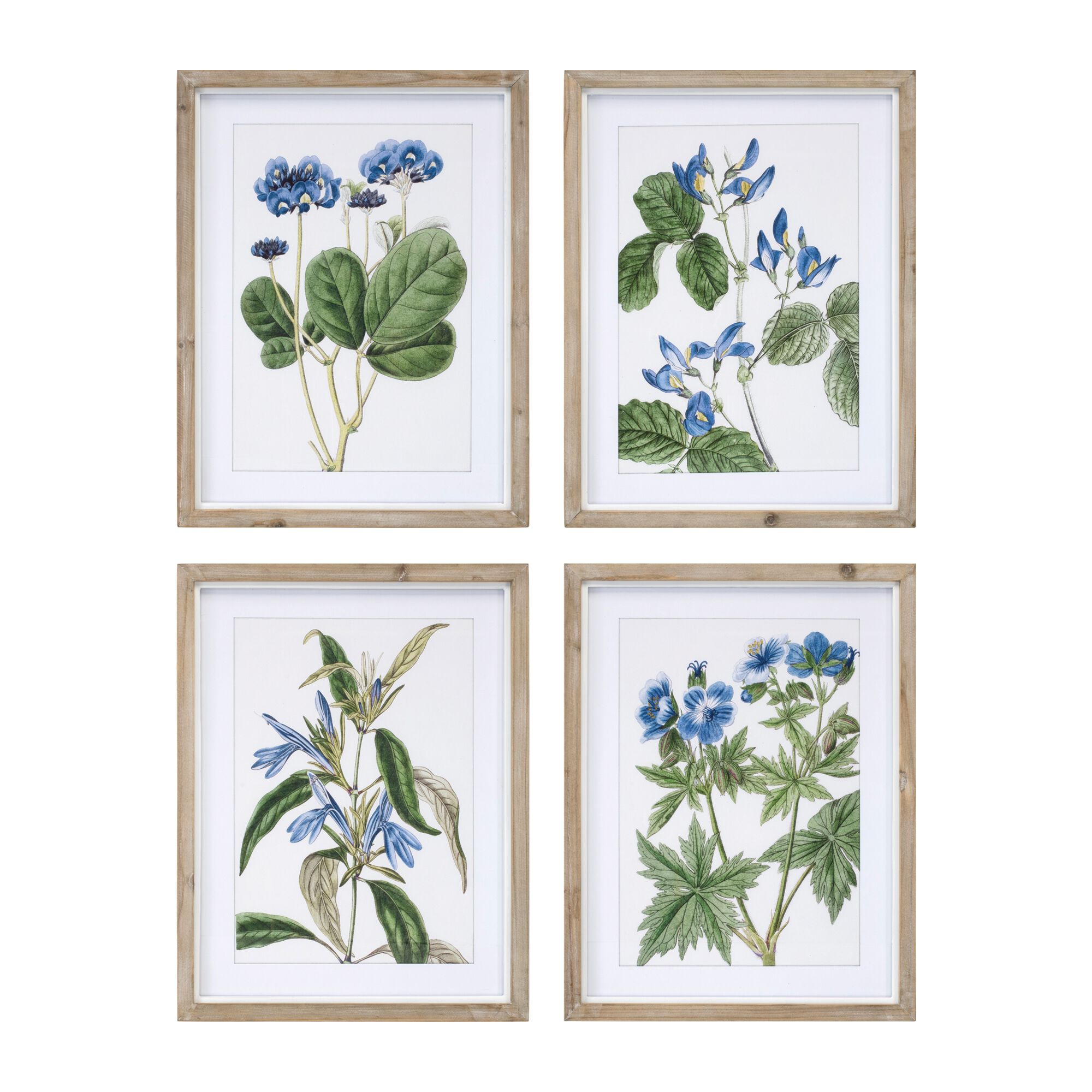 Wood Framed Floral Print (Set of 4), BLUE/GREEN/WHITE, hi-res image number 0