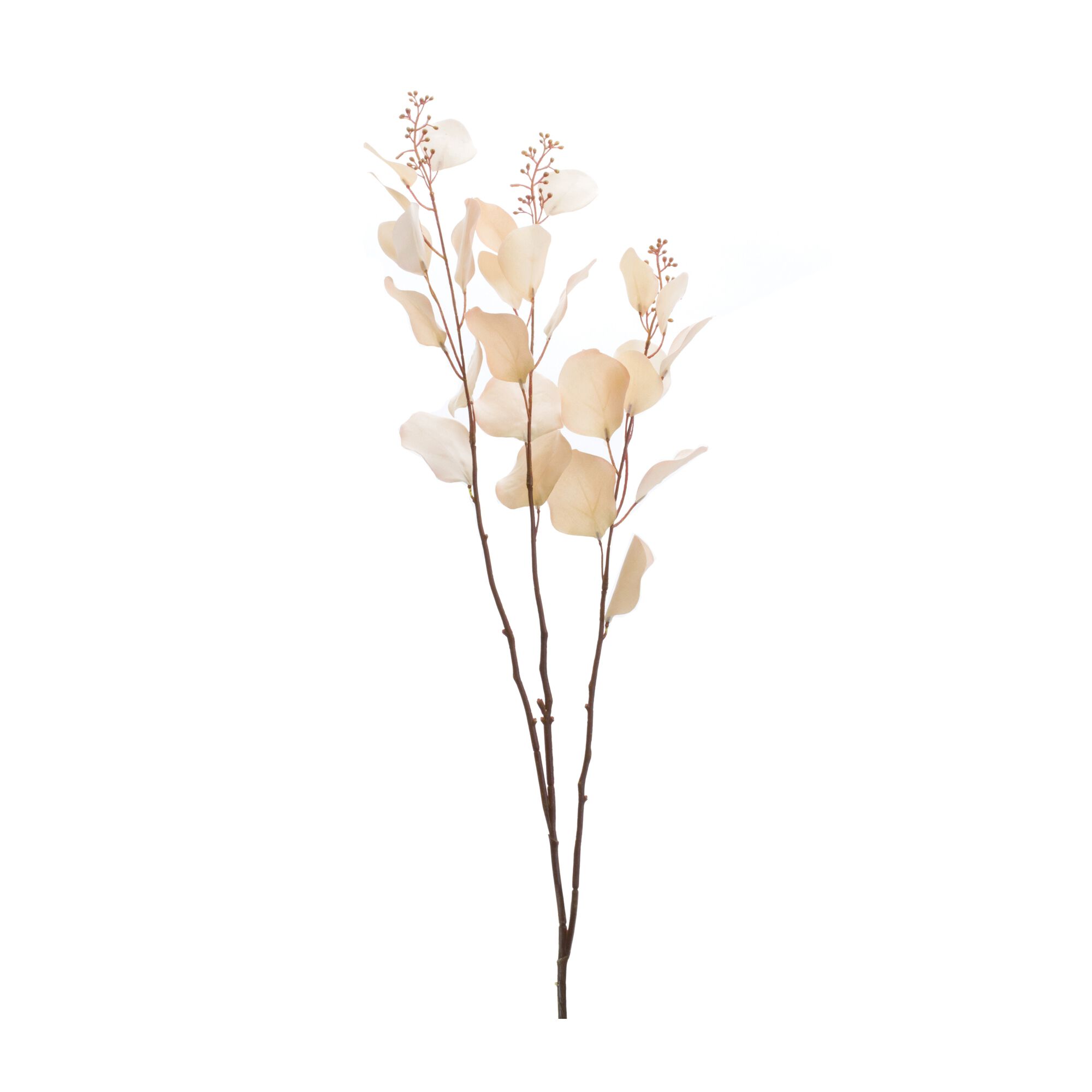 Seeded Eucalyptus Stem (Set of 6), BEIGE, hi-res image number 0