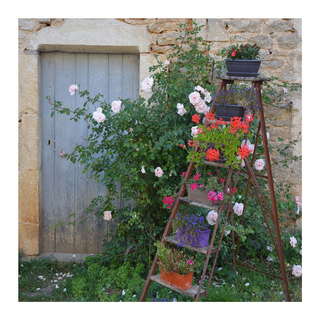 All Weather All Season Outdoor Canvas Art, MULTI, hi-res image number 0