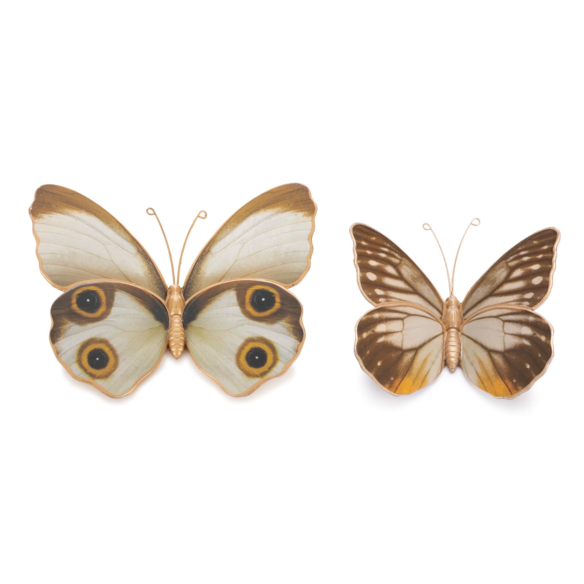 Amber Butterfly and Moth Shelf Sitter (Set of 2), WHITE/BROWN/ORANGE, hi-res image number 0