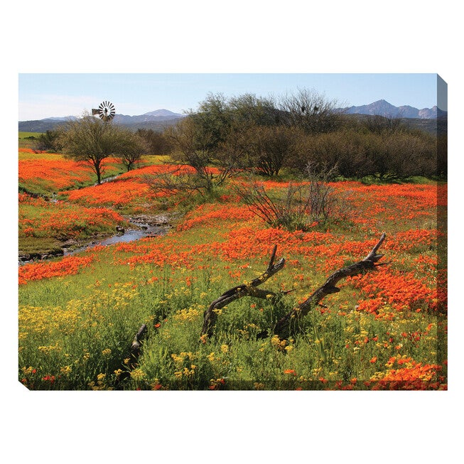Home On The Range Outdoor Canvas Art, MULTI, hi-res image number 0