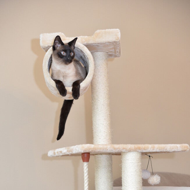 62 inches Real Wood Cat Tree With Scratch Posts, Hammock, , alternate image number null