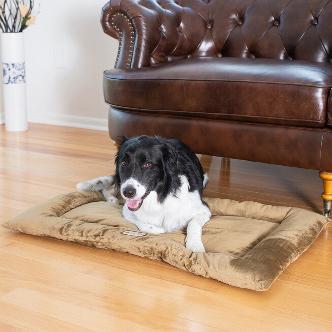 Pet Bed Mat, Dog Crate Soft Pad With Poly Fill Cushion, Large Sage Green, , on-hover image number null