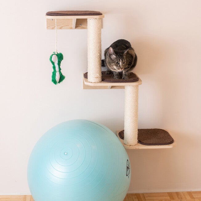 Real Wood Wall Series: Cat Dog Pet Steps, , on-hover image number null