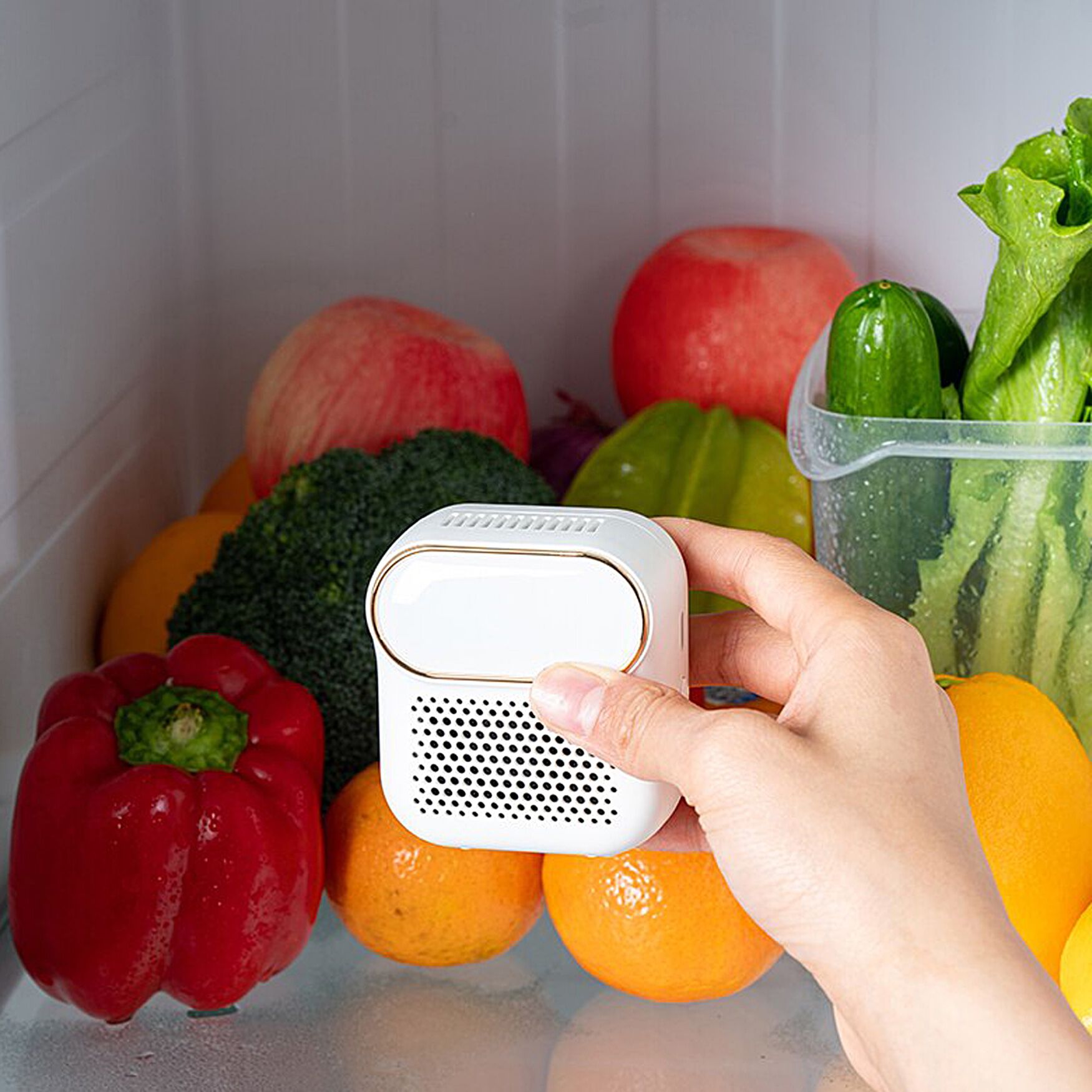 Sterilizer And Deodorizer For Refrigerator, , alternate image number 2