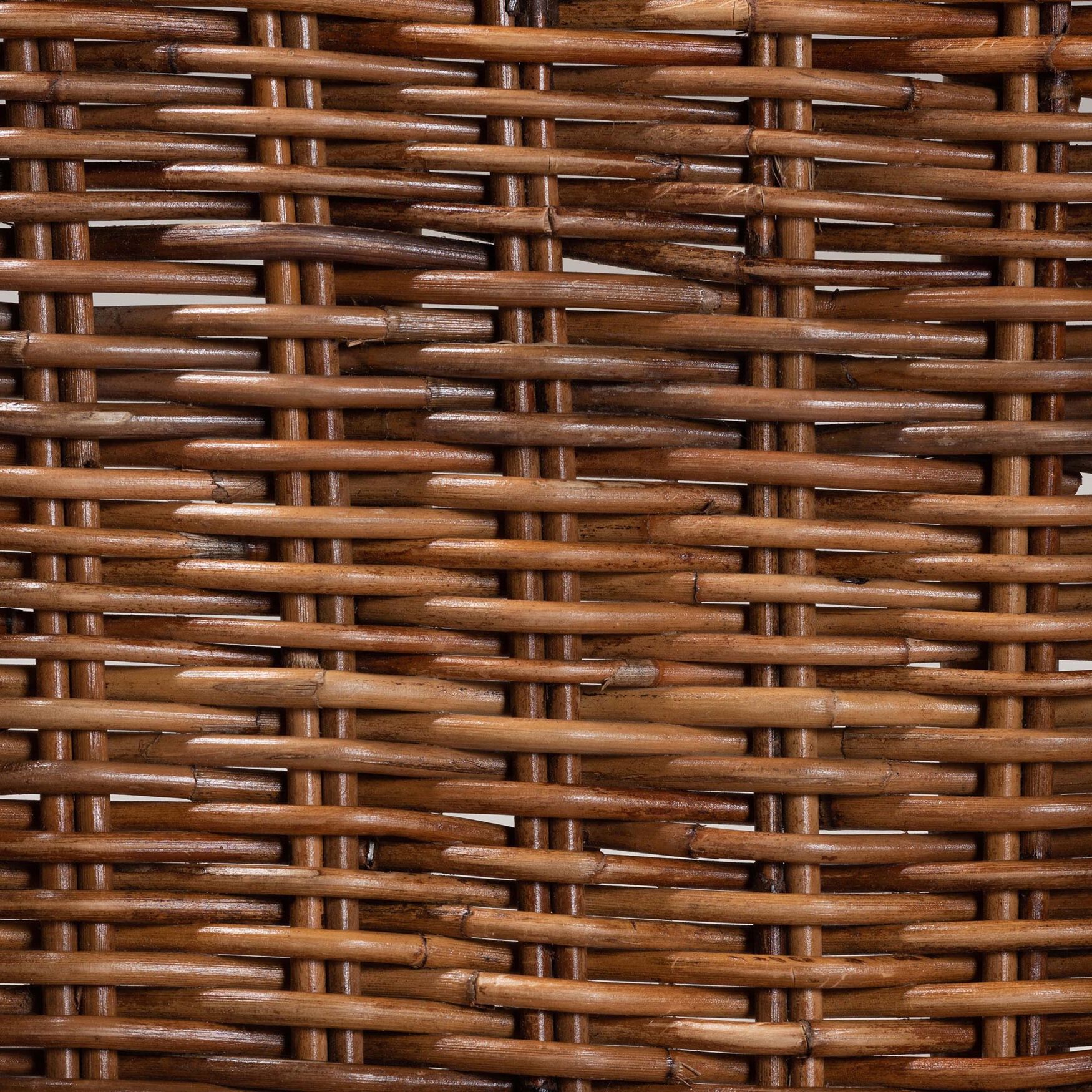 Mario Modern Bohemian Natural Brown Finished Teak Wood And Rattan 2-Piece Dining Chair Set, , alternate image number 5