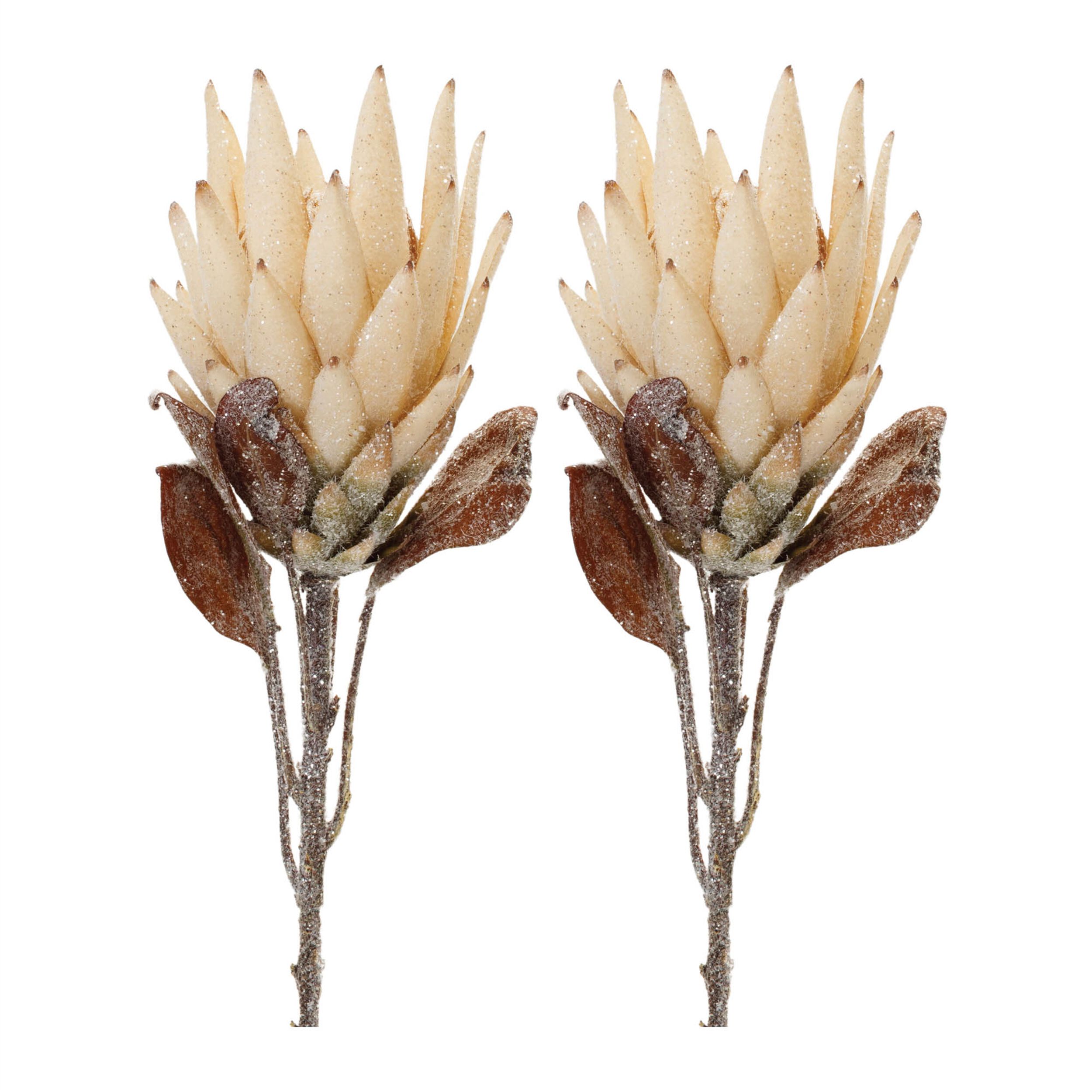Beige Protea Flower Stem (Set of 2), BEIGE BROWN, alternate image number 2