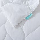 Antimicrobial Cotton White Duck Down Blanket Blankets, , alternate image number null