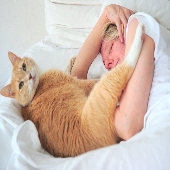 Pet Agree Basic Allergens Free Waterproof Mattress Pad, , alternate image number null