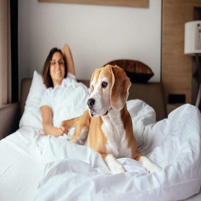 Pet Agree Basic Allergens Free Waterproof Mattress Pad, , alternate image number null