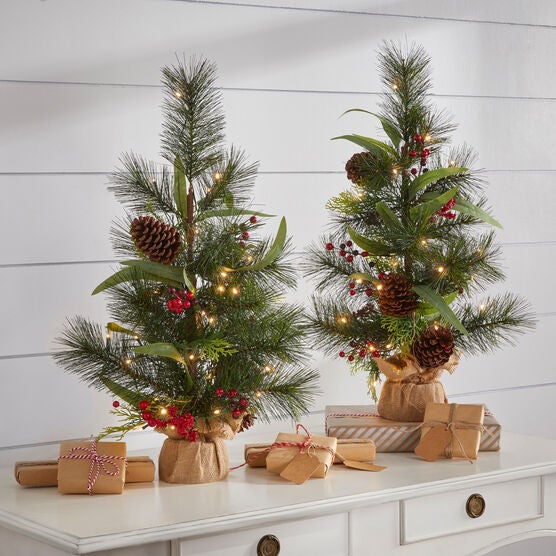 24&quot; Pre-Lit Meri Tabletop Tree, MULTI