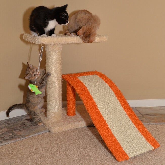 Two-Level Platform 27 inches Real Wood Cat Scratcher With Sisal Carpet Ramp, , on-hover image number 1