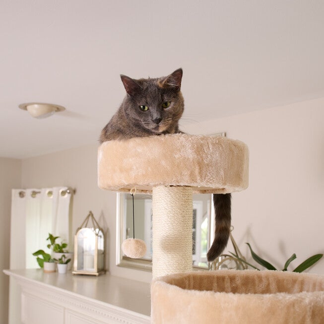 Armarkat Royal Perch Cat Mansion Tree A8402, BEIGE, alternate image number null