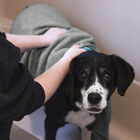 Embroidered Microfiber Pet Towel, Large, 2 Pieces, , alternate image number null