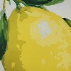New York Botanical Garden® Indoor/Outdoor Oversized Lemon Decorative Throw Pillow 20X20, Leaf Multi, , alternate image number null