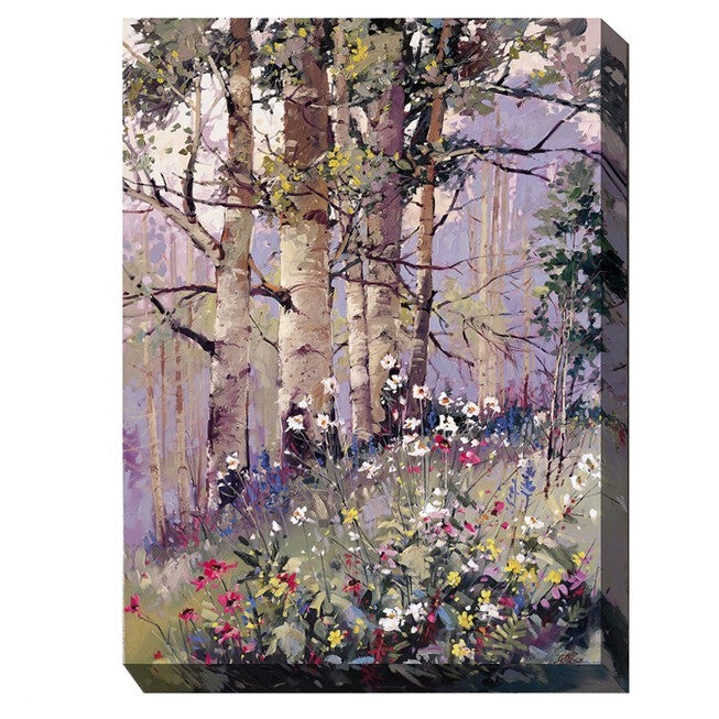 ASPEN SPRING, MULTI, hi-res image number null