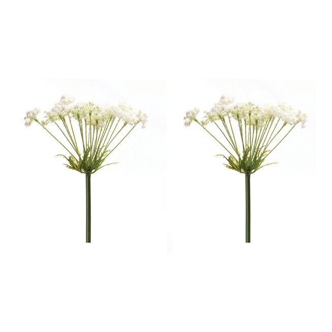 Queen Anne's Lace Stem (Set of 2) 29 inchesH Plastic, GREEN/WHITE, alternate image number 1