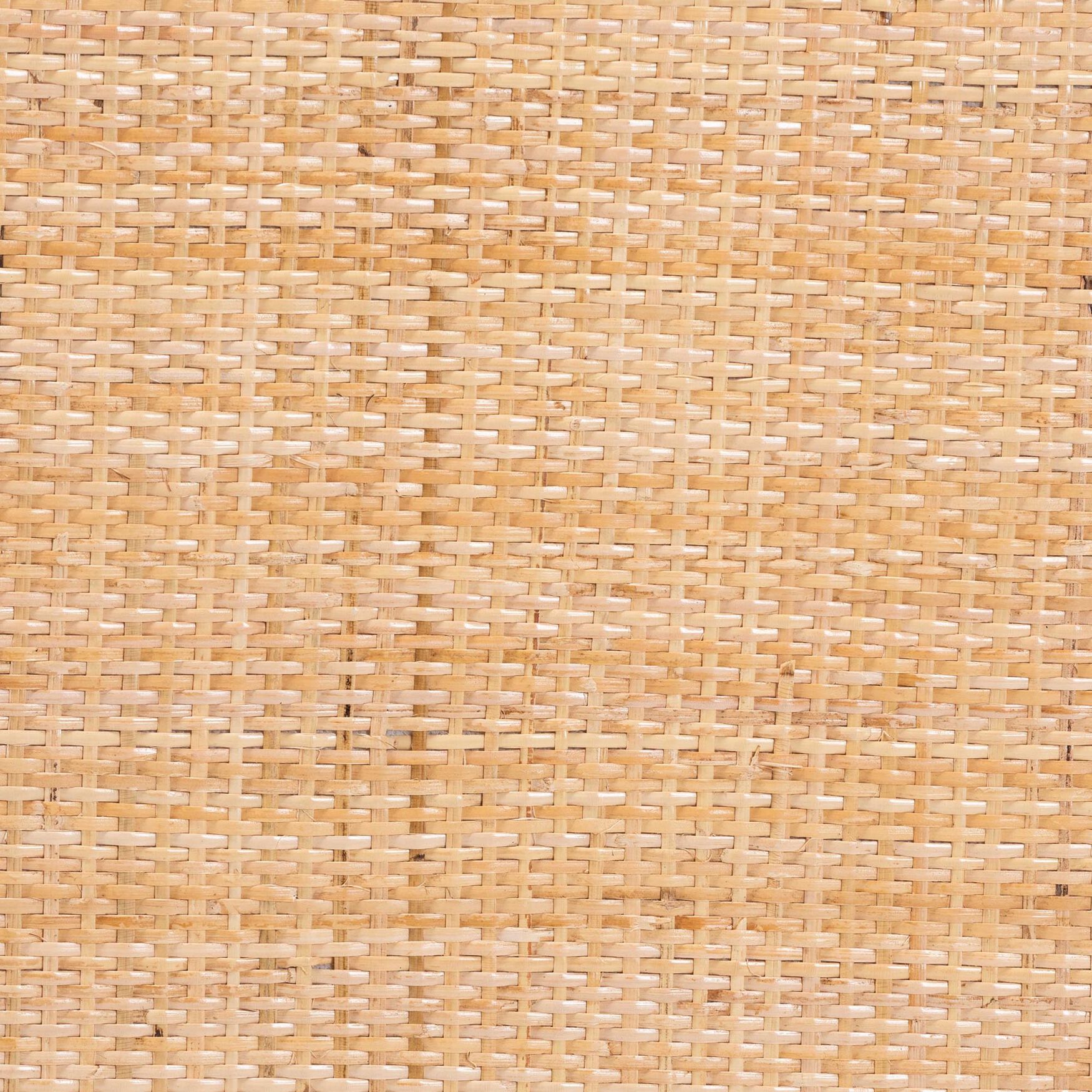 Maryland Modern Bohemian Natural Rattan and Acacia Wood 2-Piece Dining Chair Set, , alternate image number 11