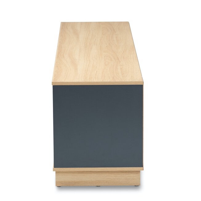 Reed Mid-Century Modern Multicolor 2-Drawer Wood Tv Stand Furniture, , alternate image number null