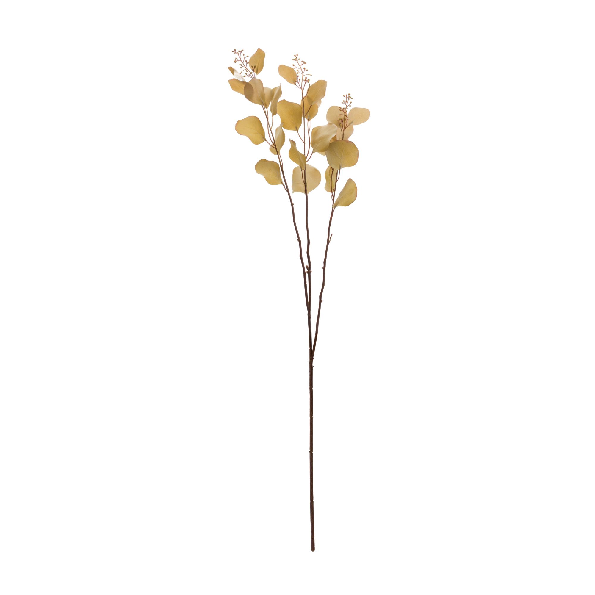 Seeded Eucalyptus Stem (Set of 6), BROWN, alternate image number 1