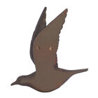 Set Of 3 Brown Resin Farmhouse Birds Wall Décor, , alternate image number null