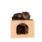 Real Wood Wall Series Cat Tree With Condo, Perch And Step Up, , alternate image number 8