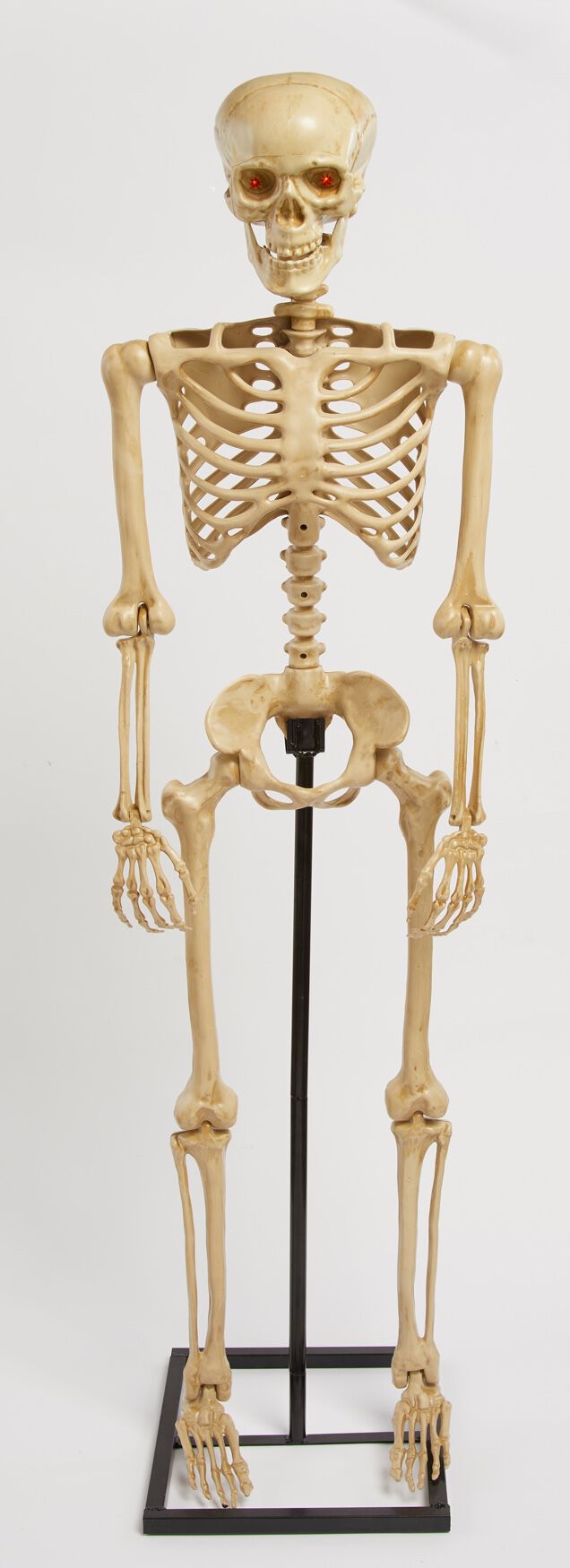 5' Pre-Lit Life-Sized Skeleton, IVORY, on-hover image number 1