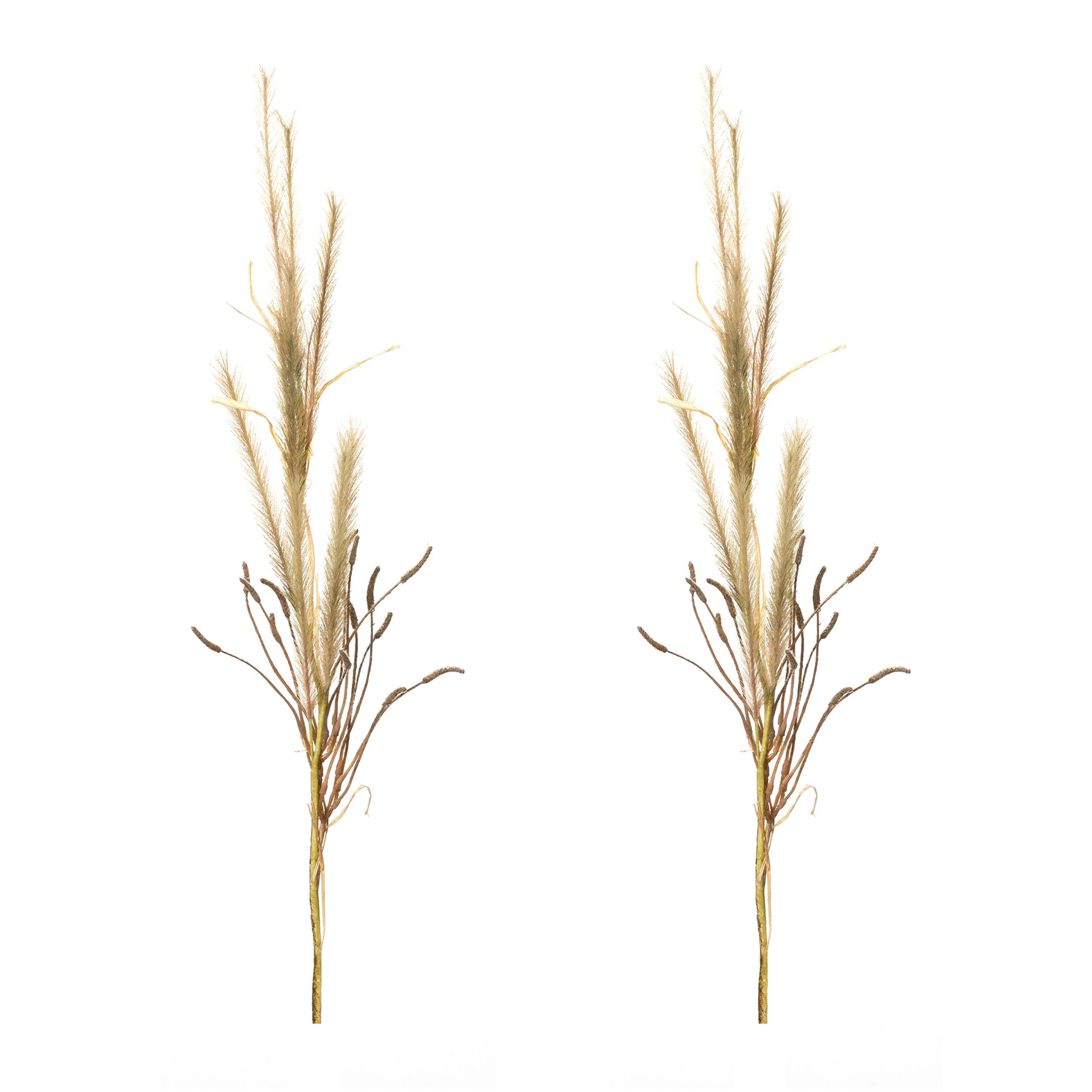 Fox Tail Stem (Set of 2) 47 inchesH Polyester, BROWN, alternate image number 2