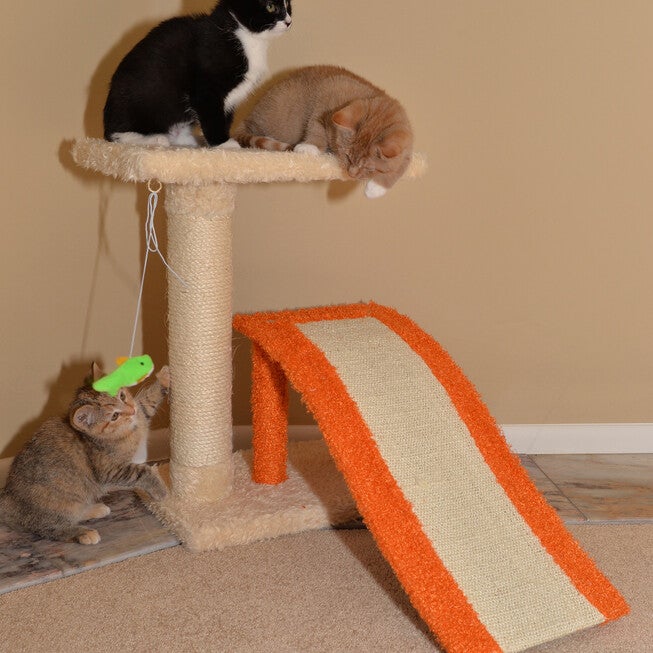 Two-Level Platform 27 inches Real Wood Cat Scratcher With Sisal Carpet Ramp, , alternate image number 5