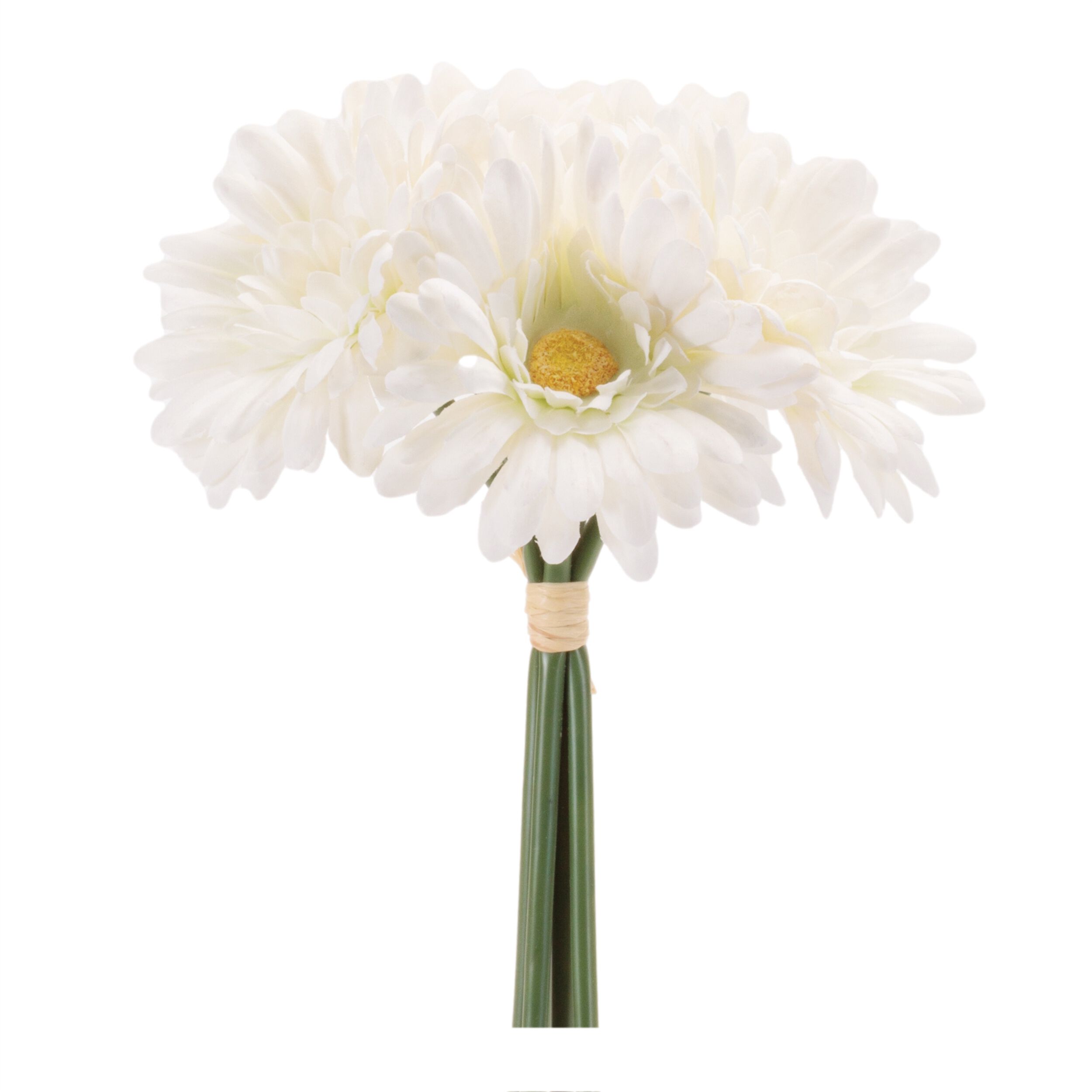 Gerbera Daisy Floral Bundle Set of 6, WHITE GREEN, hi-res image number 0