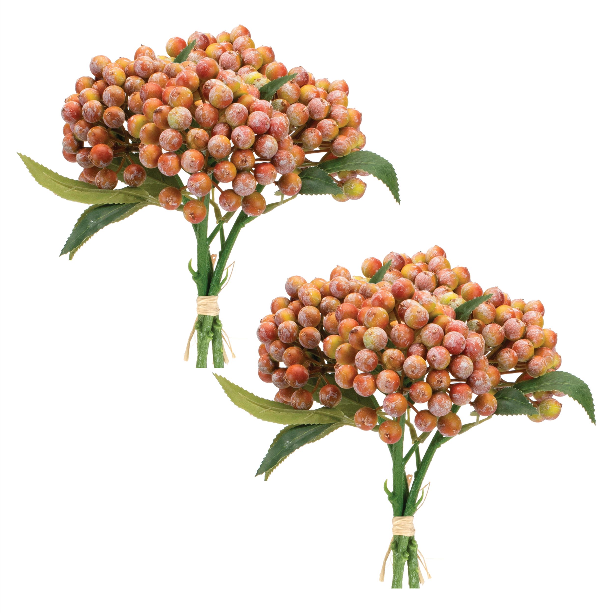 Orange Berry Bundle (Set of 2), ORANGE PINK GREEN, alternate image number 2