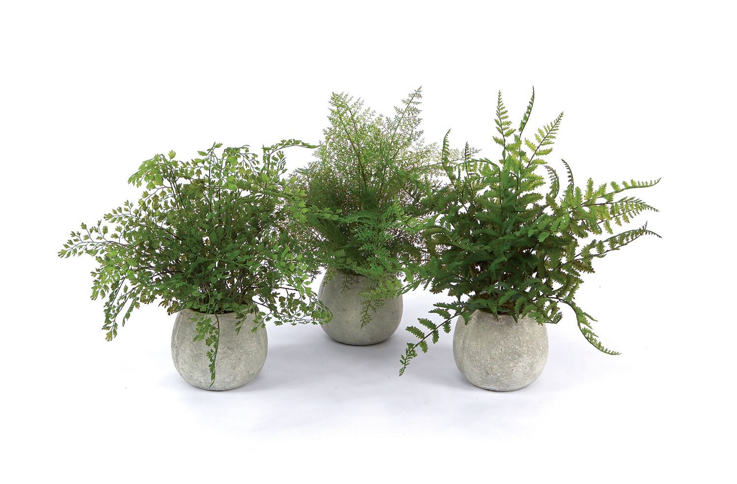 Potted Fern Plant in Grey Pot (Set of 3), GREEN GREY, hi-res image number 0