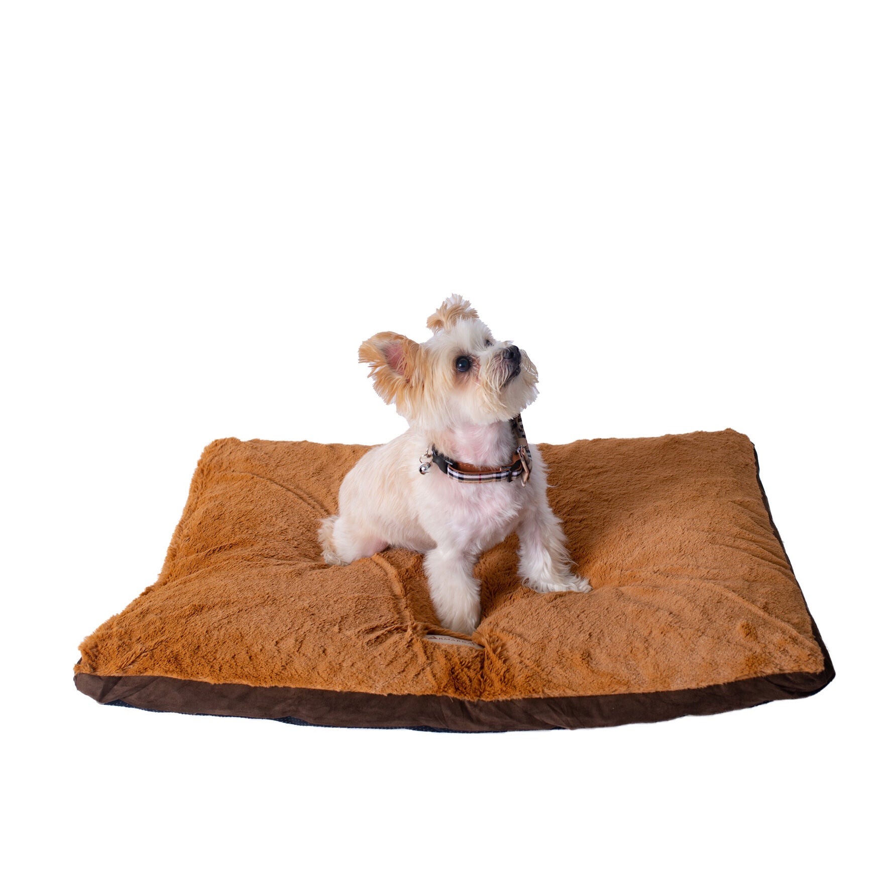 Medium Pet Dog Bed Mat With Poly Fill Cushion, BROWN, hi-res image number 0