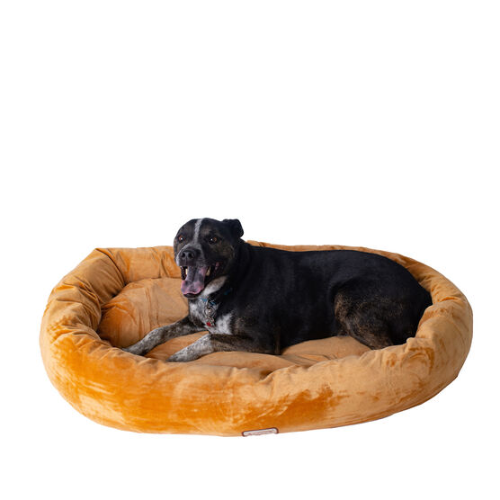 Bolstered Pet Bed and Mat, ultra-soft Dog Bed, Brown, Large, BROWN, hi-res image number null