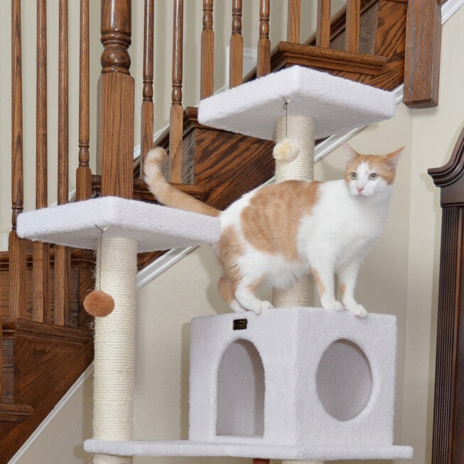 Classic 73 inches Real Wood Cat Tree Four Levels With Swing, Hammock, Condo, Perch, , alternate image number null