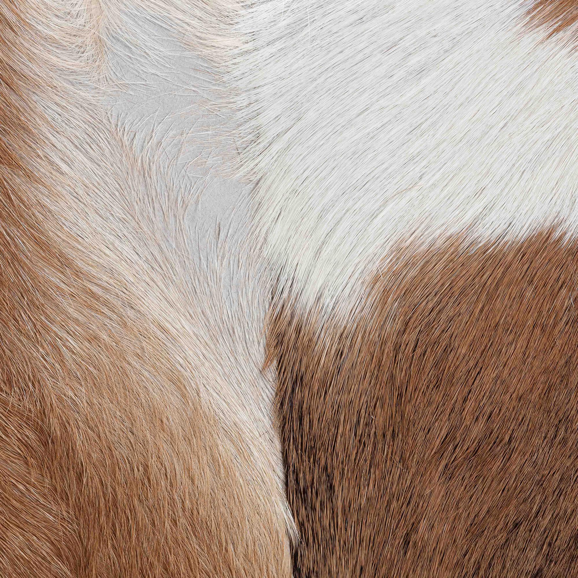 Scotlyn Genuine Goat Leather Footstool, BROWN, alternate image number 6