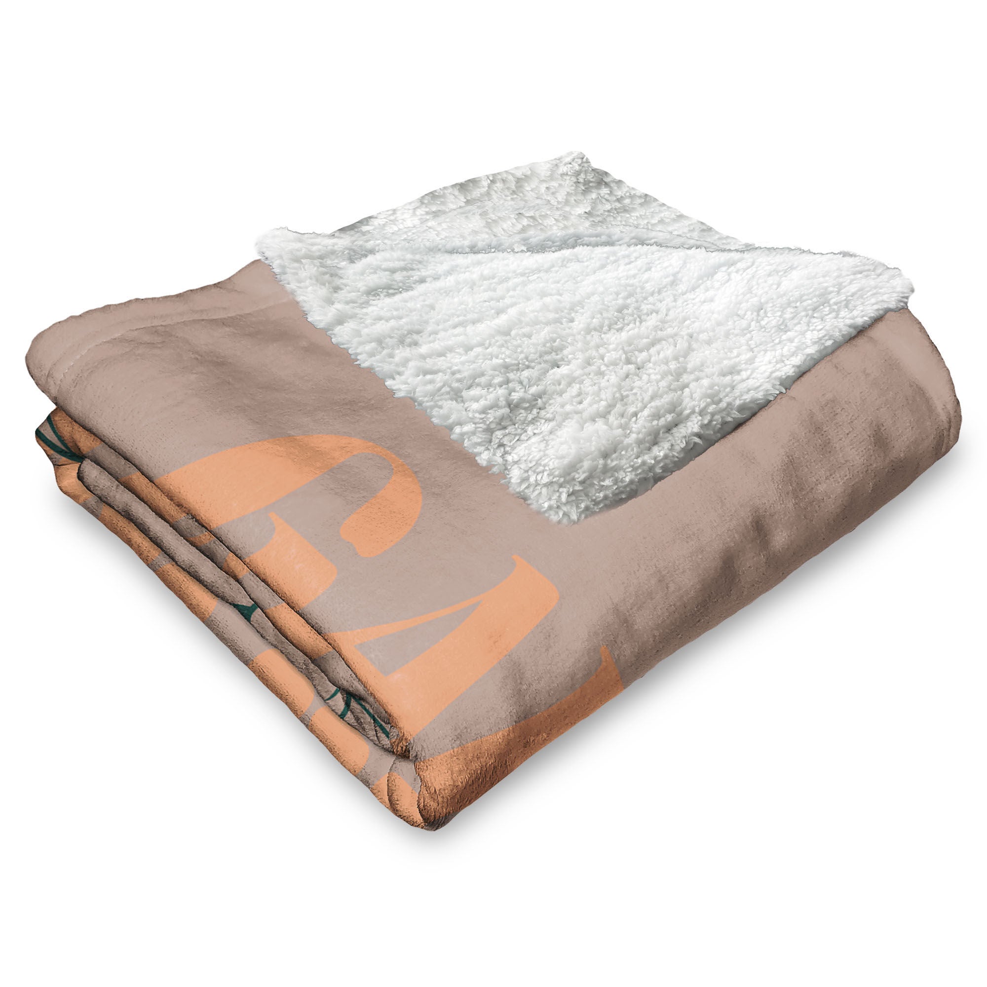 Nickelodeon Garfield Take a Hike Silk Touch Sherpa Throw Blanket 50x60 Inches, BROWN, alternate image number 3