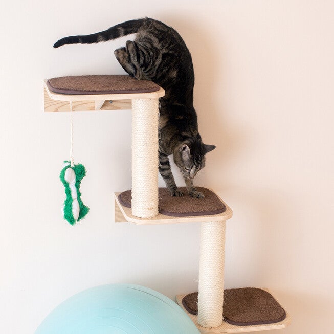 Real Wood Wall Series: Cat Dog Pet Steps, , alternate image number null