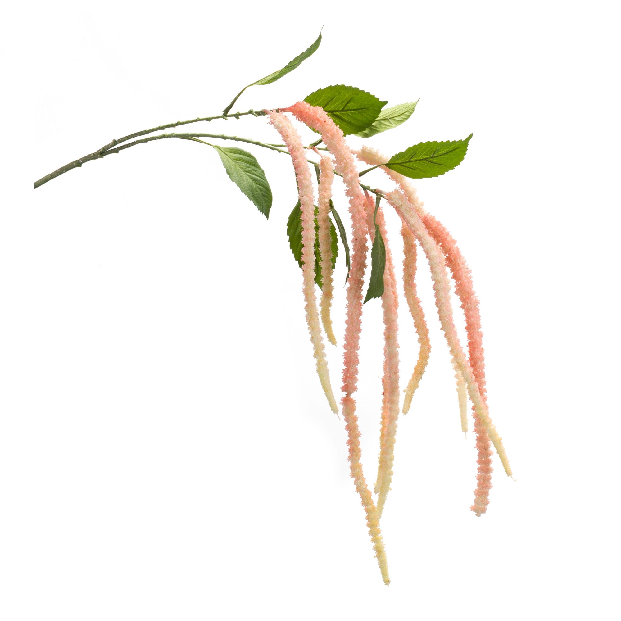Amaranthus Stem (Set of 4) 53.25 inchesH Plastic/Polyester, PINK, hi-res image number 0