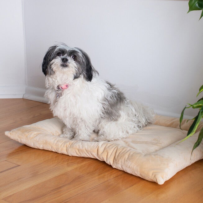 Pet Bed Mat , Dog Crate Soft Pad With Poly Fill Cushion, , on-hover image number 1