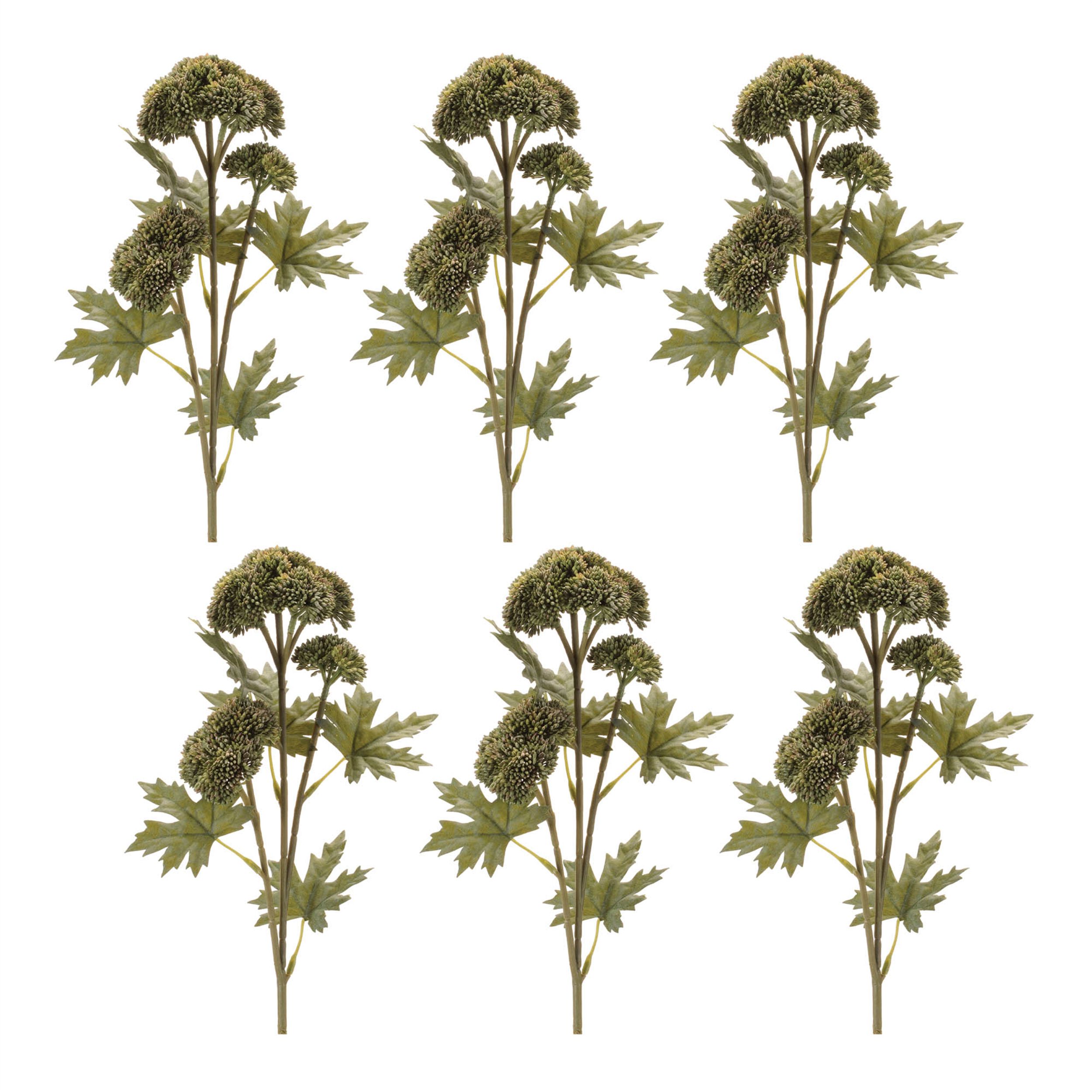 Sedum Succulent Spray Set of 6, GREEN, alternate image number 2