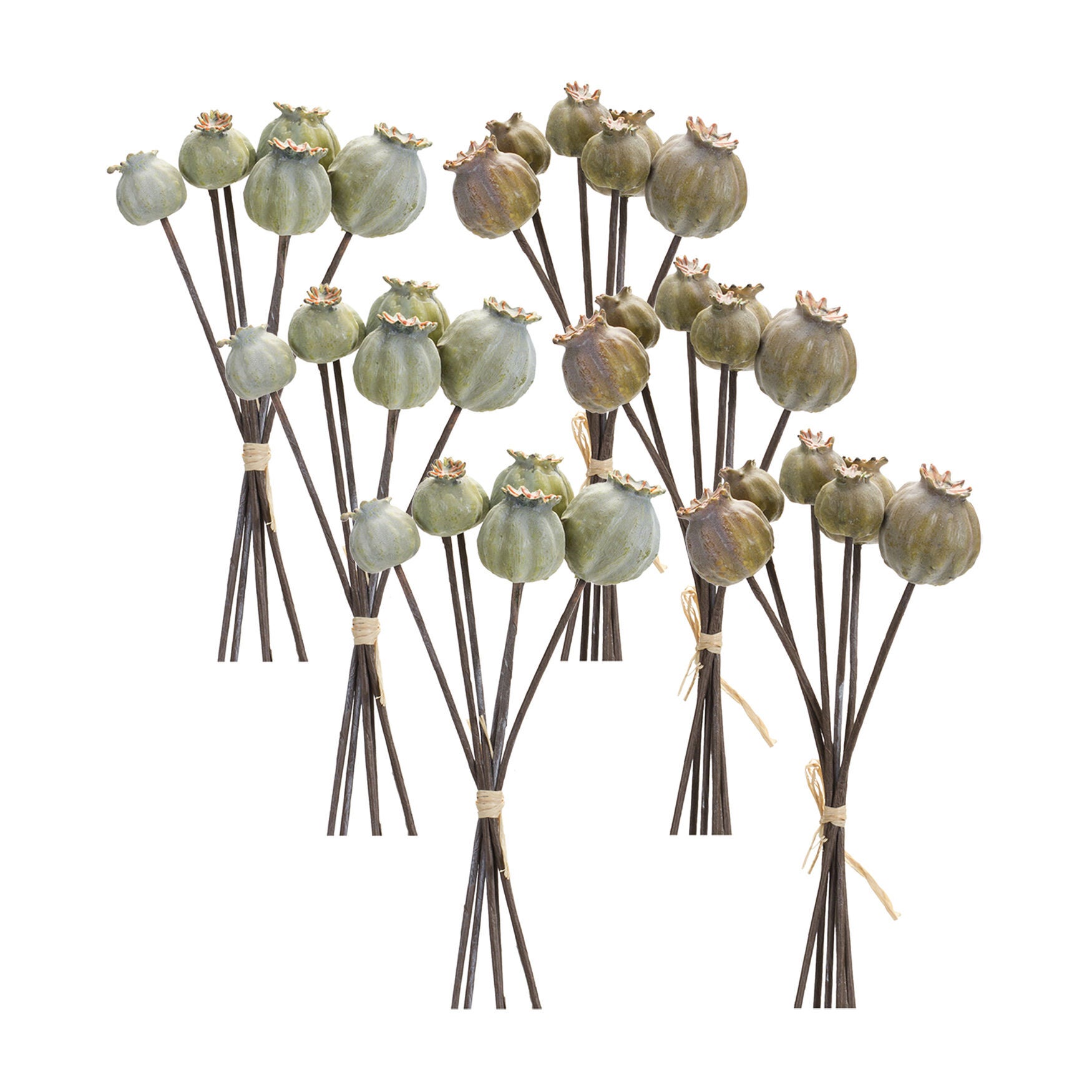 Poppy Pod Foliage Bundle (Set Of 6), , alternate image number 3