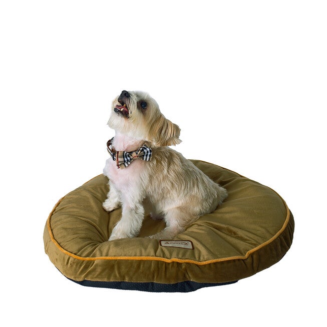 Poly Fill Dog Cushion Bed Pad, Mocha, MOCHA, hi-res image number null