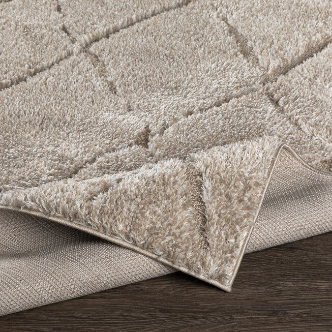 Elenor Enr-2300 Rug, , alternate image number 1