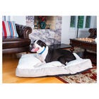 Dog Crate Mat With Carry Handle, , alternate image number null