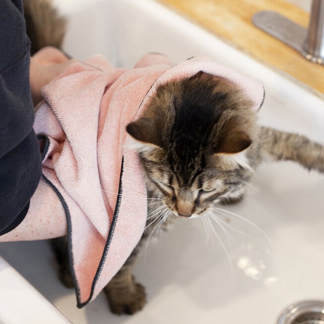 Embroidered Microfiber Pet Towel, Small, 3 Pieces Paw Blush, , alternate image number 4