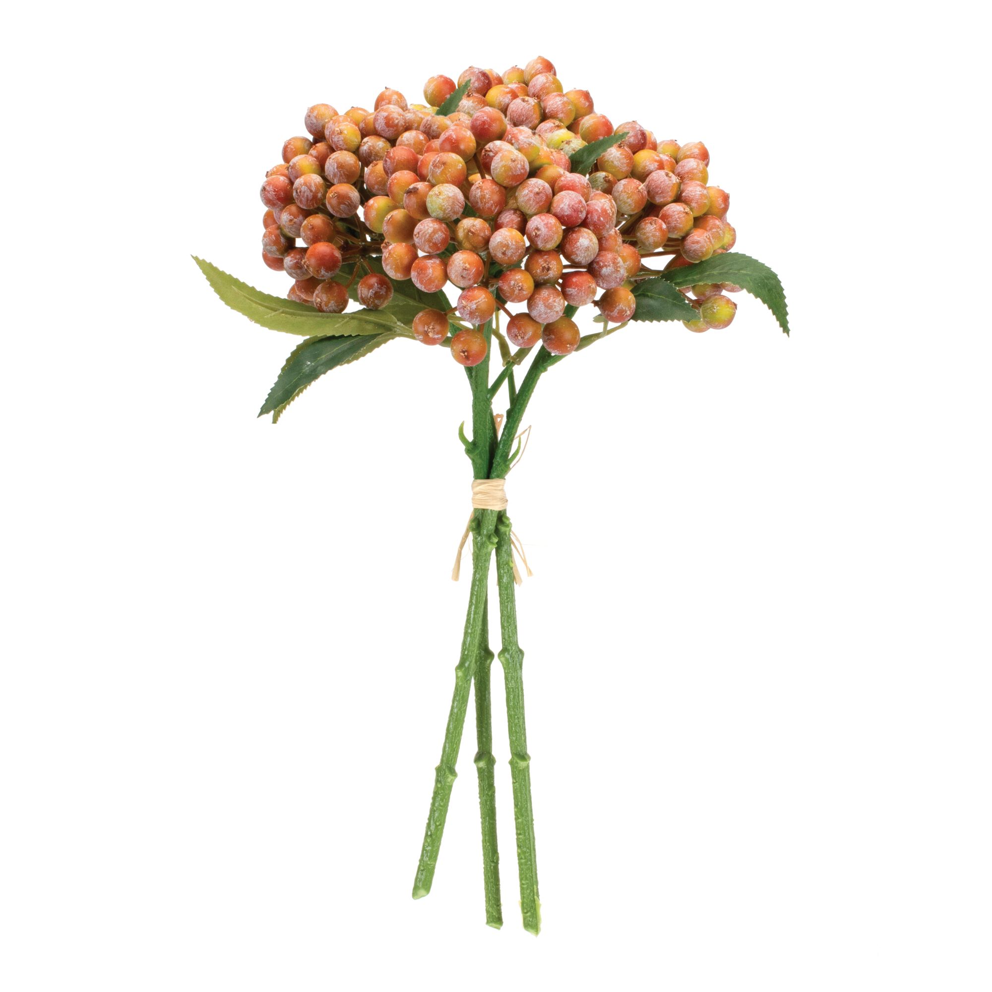 Orange Berry Bundle (Set of 2), ORANGE PINK GREEN, alternate image number 1