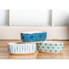 Set Of 3 Oval Pet Cat Dishes, , on-hover image number null